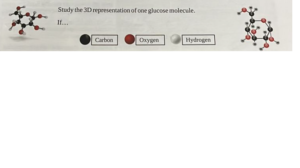 Glucose