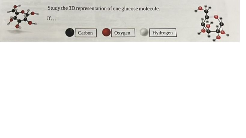 what elements are glucose molecules made of